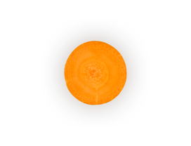 Plant, Amber