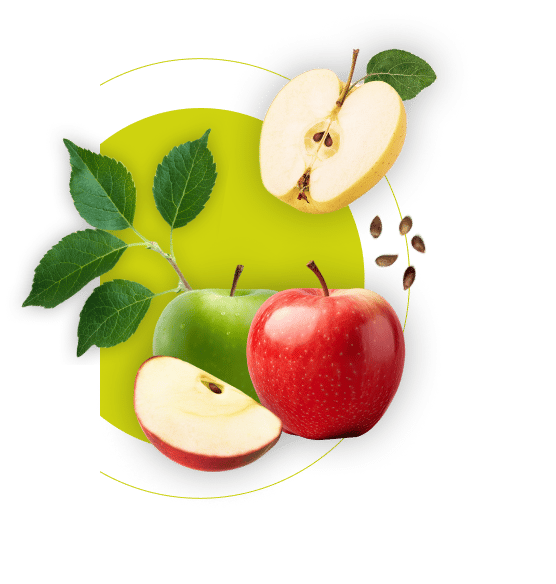 Natural foods, Food group, Fruit, Plant, Ingredient, Gesture, Tableware, Apple, Mcintosh