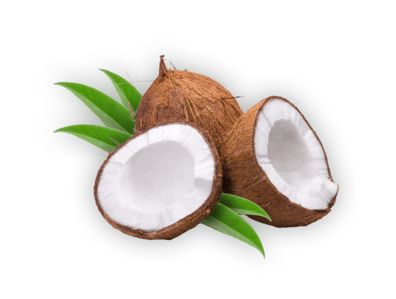 Plant, Coconut, Ingredient, Fruit, Tree, Wood
