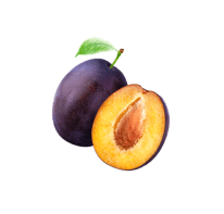 Natural foods, Food, Plant, Fruit, Plum, Tree