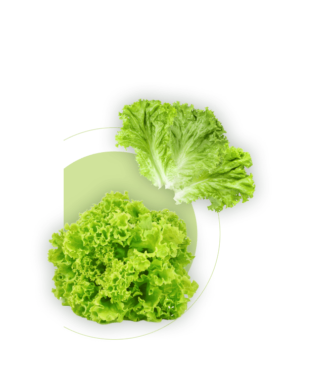 Leaf vegetable, Food, Ingredient