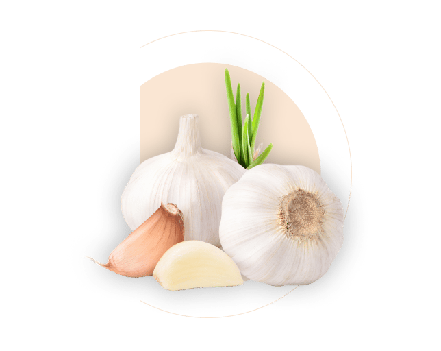 Natural foods, Elephant garlic, Food, Ingredient, Plant, Vegetable
