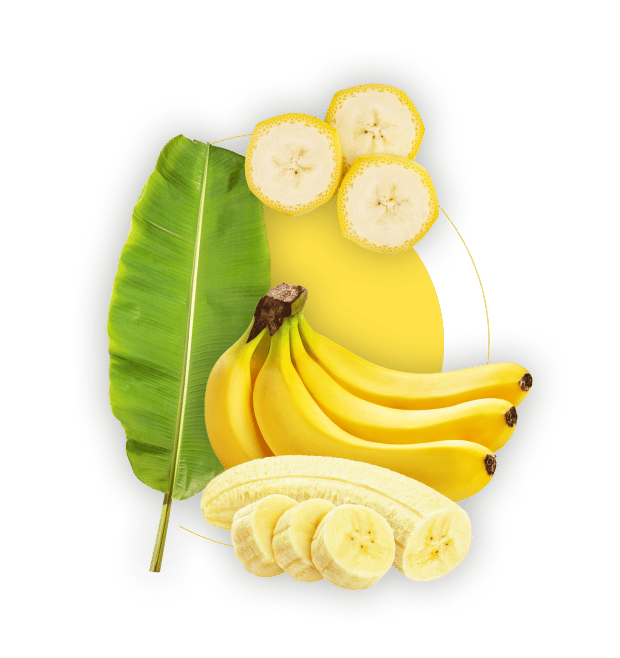 Saba banana, Natural foods, Food, Plant, Fruit, Lamp, Tree