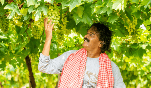 People in nature, Botany, Green, Gesture, Happy, Smile, Vine, Tree