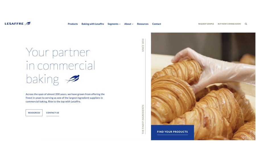 Product, Recipe, Ingredient, Font, Website, Screenshot, Photo of bread