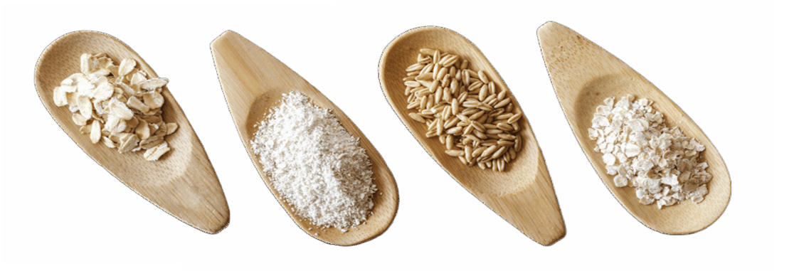 Four wooden spoons filled with different kinds of oats