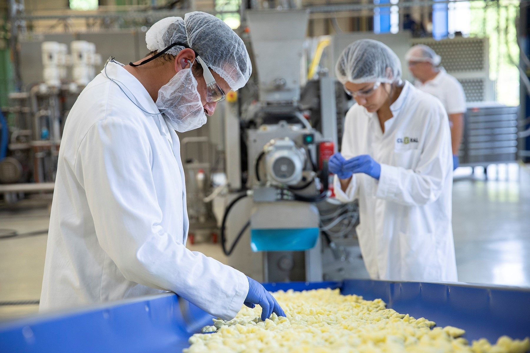 Workers, Factory, Line, Food, Equipment, Protective gear, Lab coats