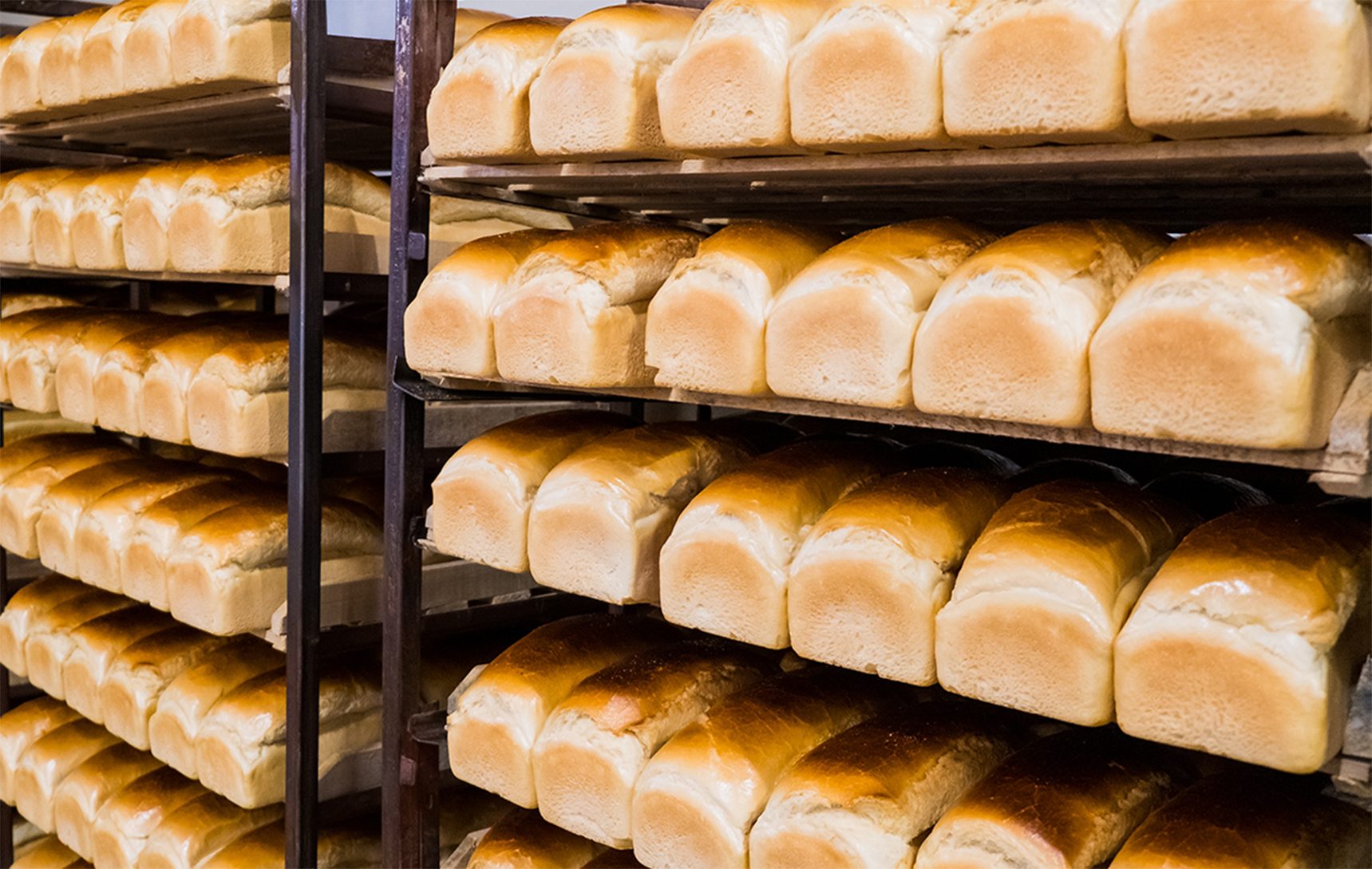 Small bread, Staple food, Bakery, Ingredient, Baking, Bun, Loaf