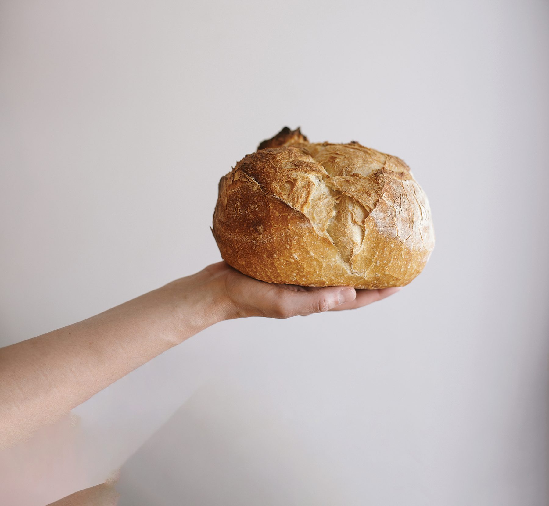Graham bread, Food, Ingredient, Gesture, Hand, Arm holding bread