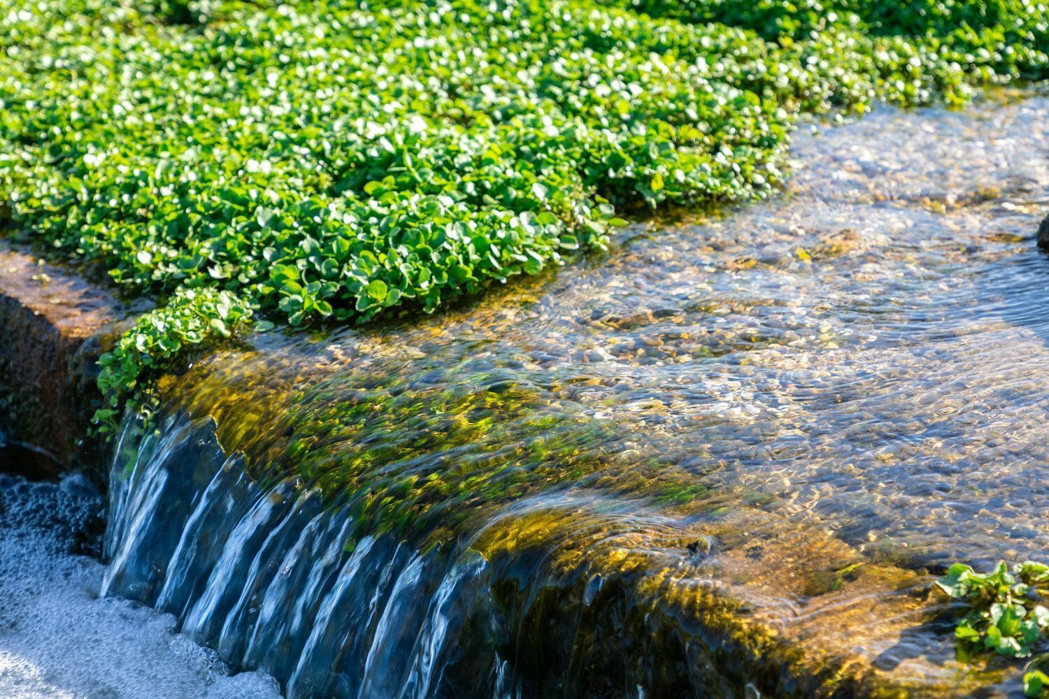 Fluvial landforms of streams, Water resources, Natural landscape, Plant, Nature, Green, Watercourse, Waterfall
