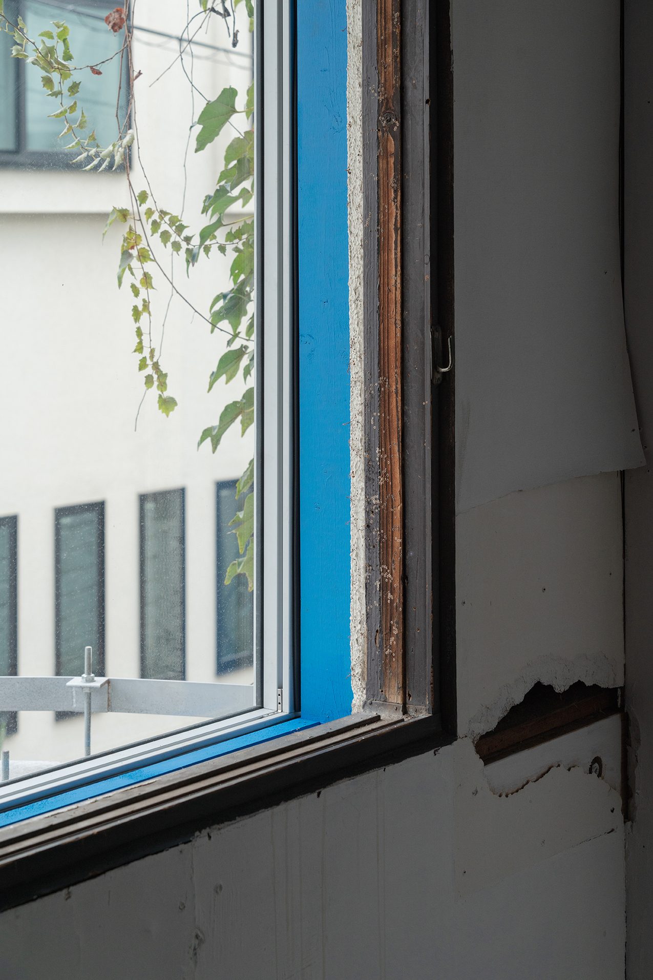 Partially renovated window with blue trim, raw wood, flaking paint, and green ivy visible outside.