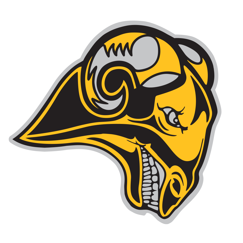Head, Eye, Helmet, T-shirt, Sleeve, Headgear, Cap