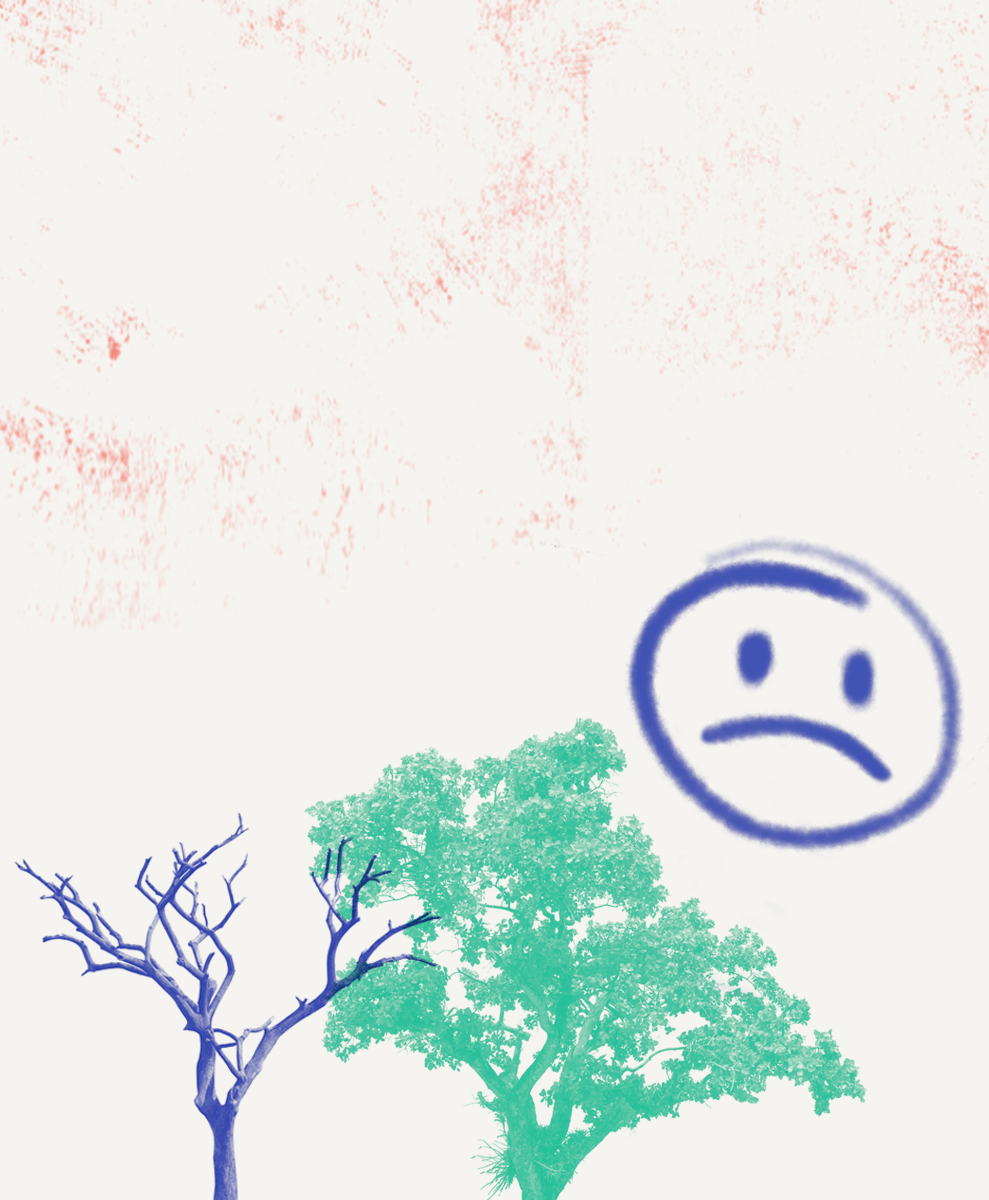 Botany, Azure, Handwriting, Branch, Organism, Font, Line, Art