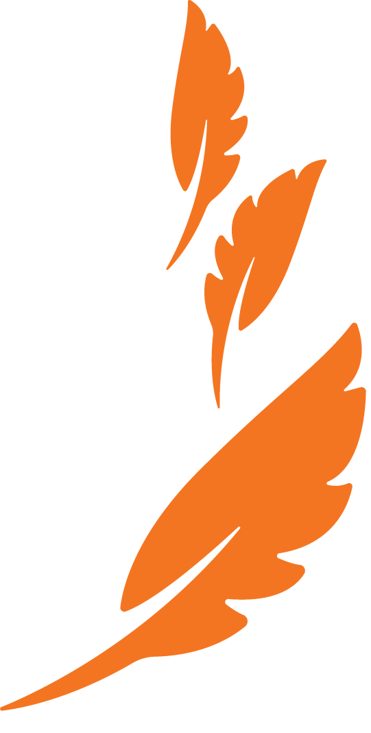 Stylized orange feathers or leaves, arranged diagonally, representing lightness or growth.