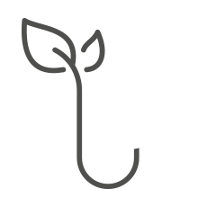 Line drawing of a sprout with two leaves.