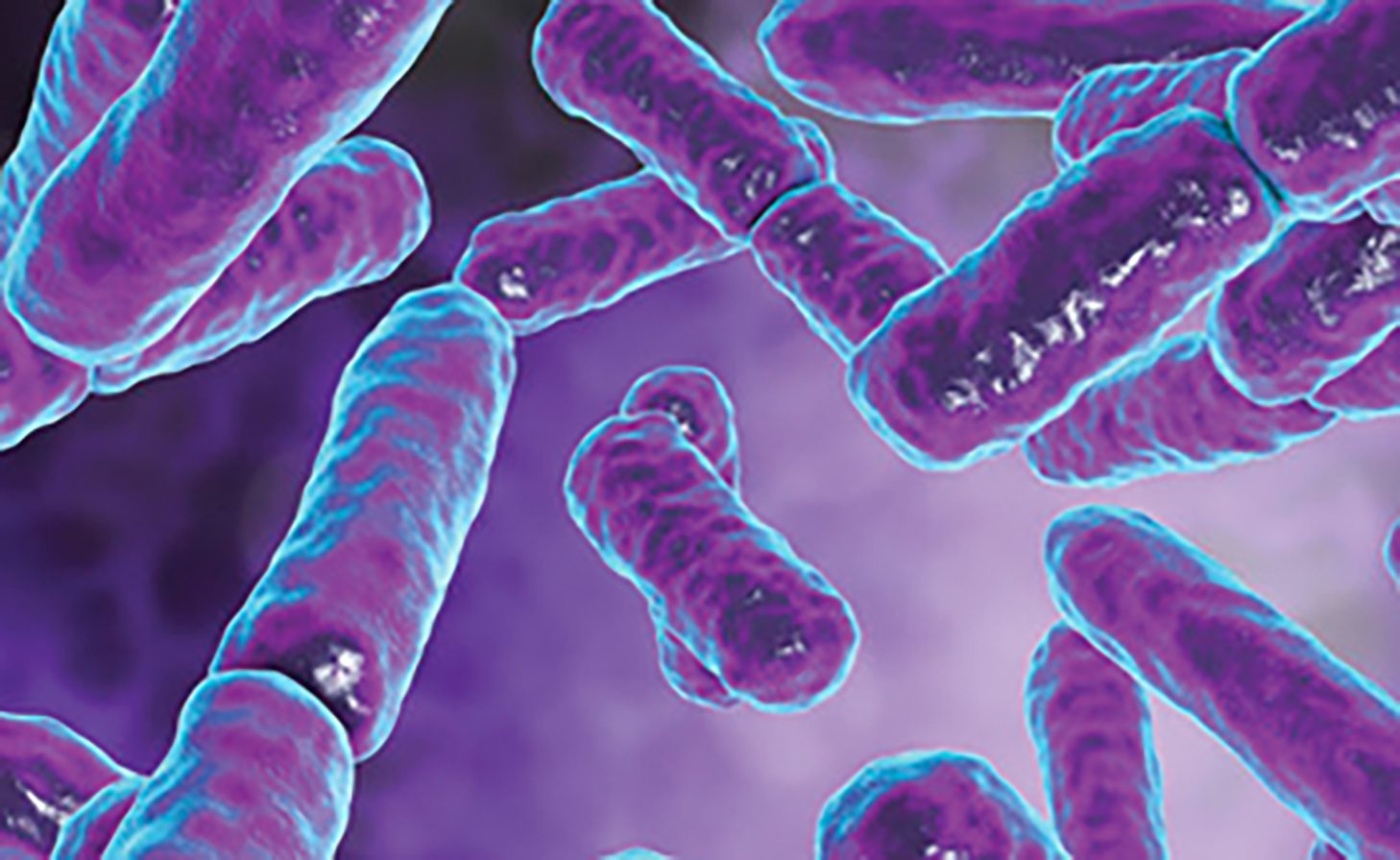 Addressing Biofilms