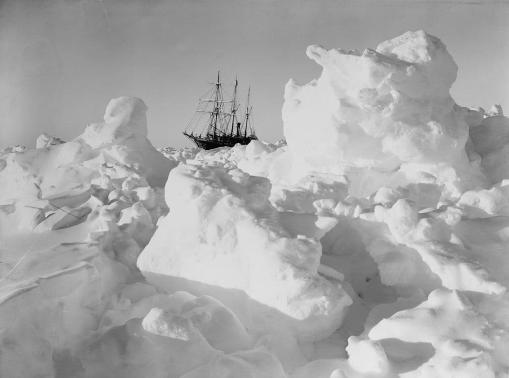 Natural environment, Atmospheric phenomenon, Ice cap, Plant, Cloud, Snow, Black-and-white, Tree, Freezing