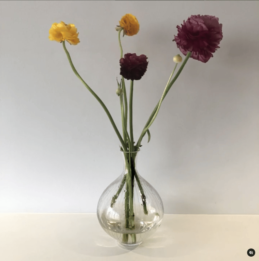 Flower Arranging, Plant, Vase, Petal, Houseplant, Flowerpot, Artifact