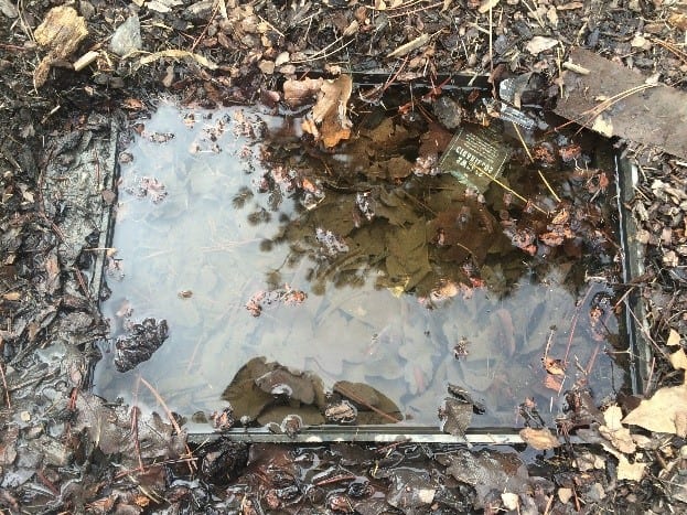 damage, snowmelt box