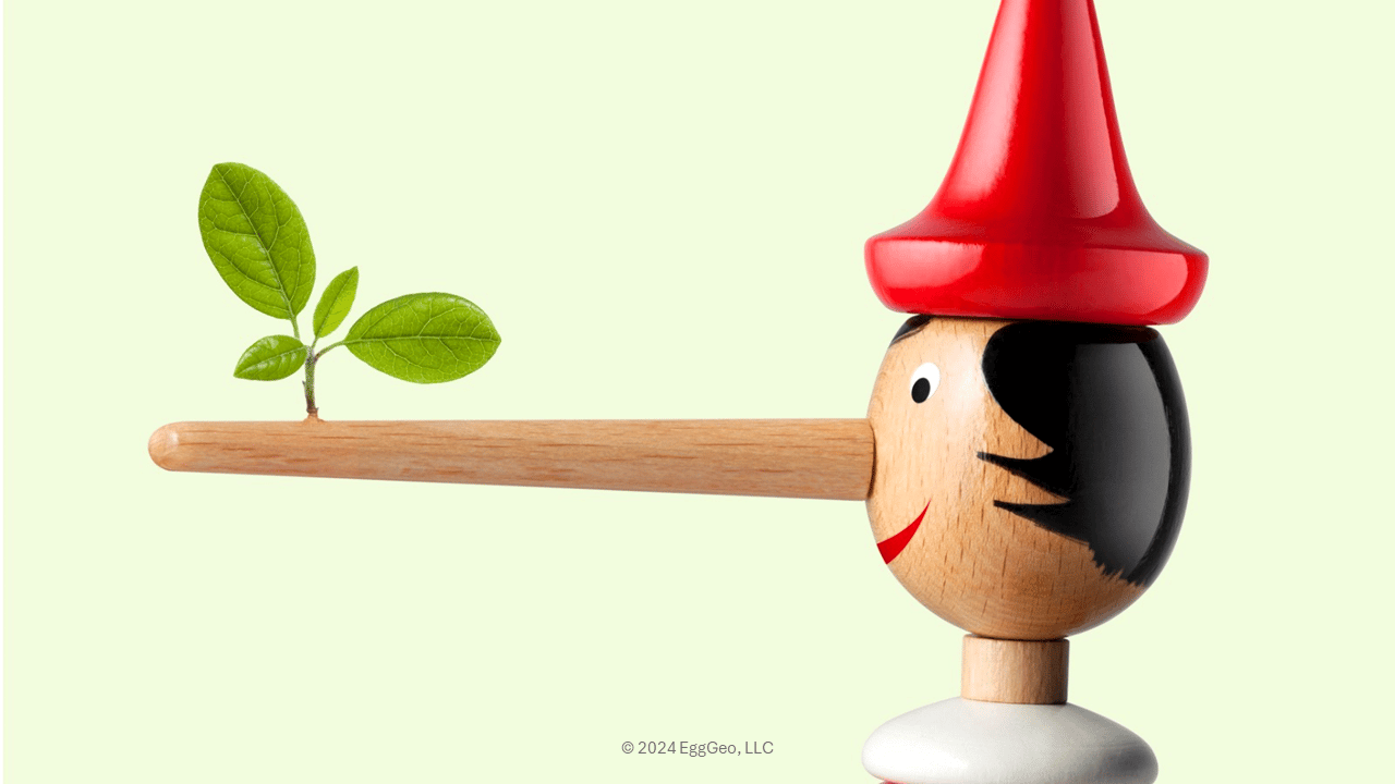Product, Cone, Headgear, Wood