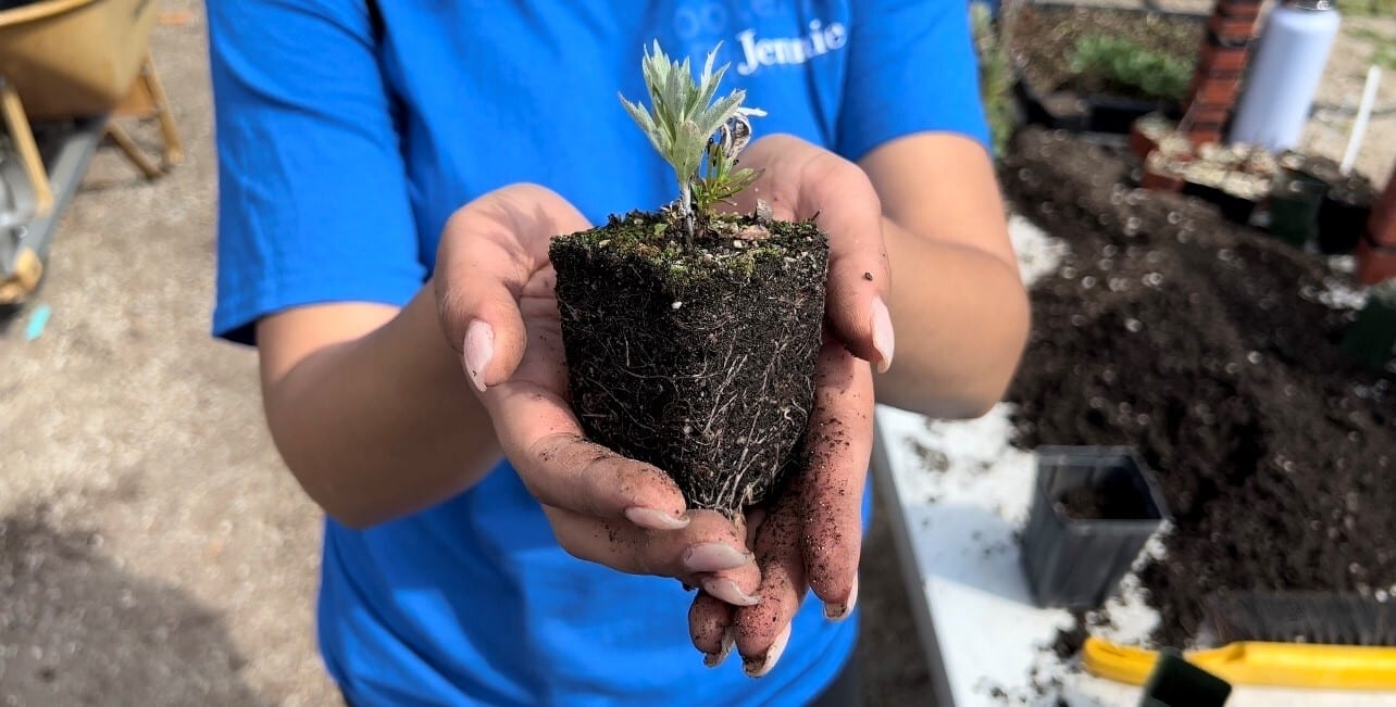 Natural material, Hand, Plant, Blue, Gesture, Finger, Grass