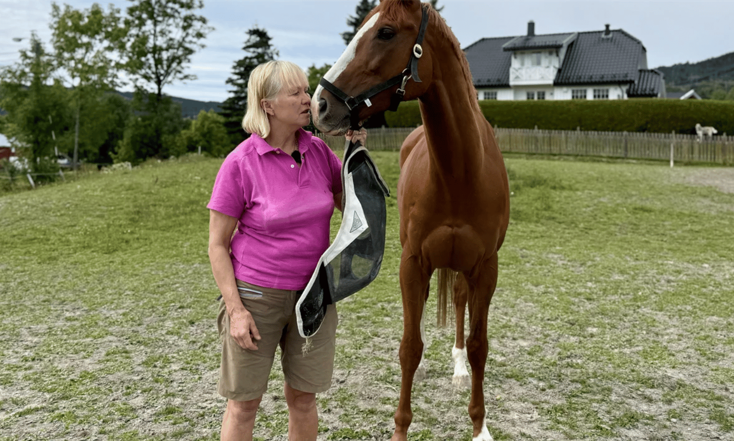 A blonde woman in a pink shirt gently interacts with a brown horse, holding a fly mask in a grassy field.