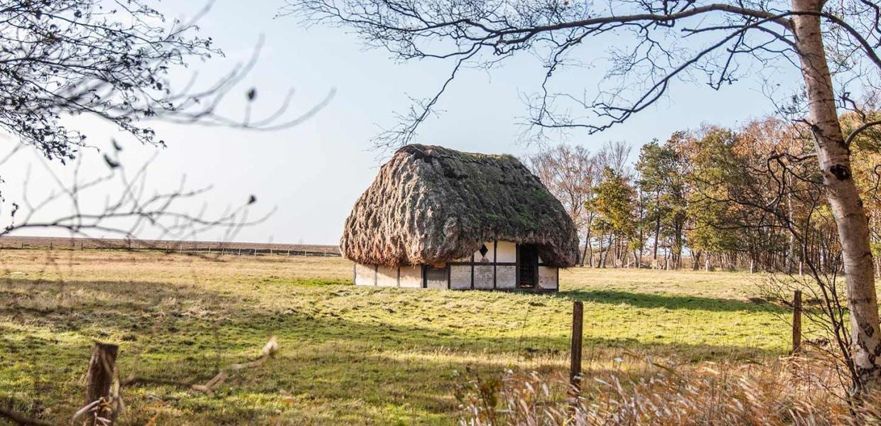 Natural landscape, Sky, Plant, Thatching, Wood, Tree, House, Grass