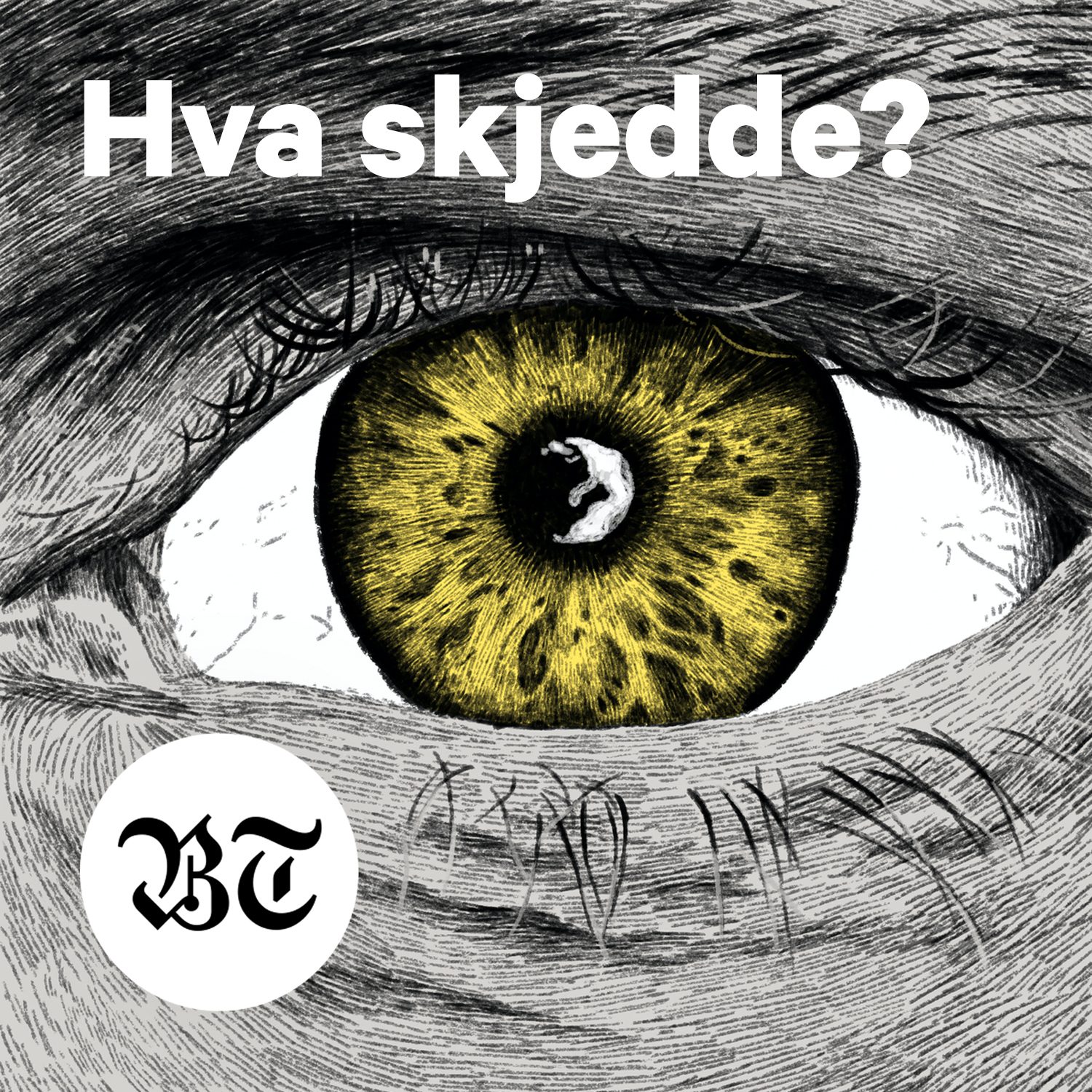 Human body, Brown, Eyelash, Organ, Organism, Iris, Mammal