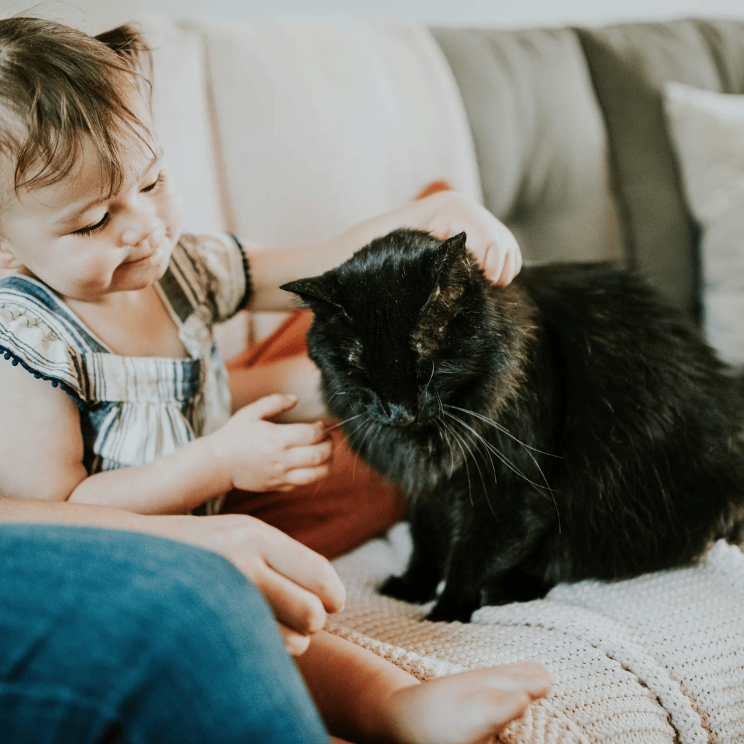 Skin, Hand, Cat, Comfort, Leg, Carnivore, Mammal, Gesture, Felidae