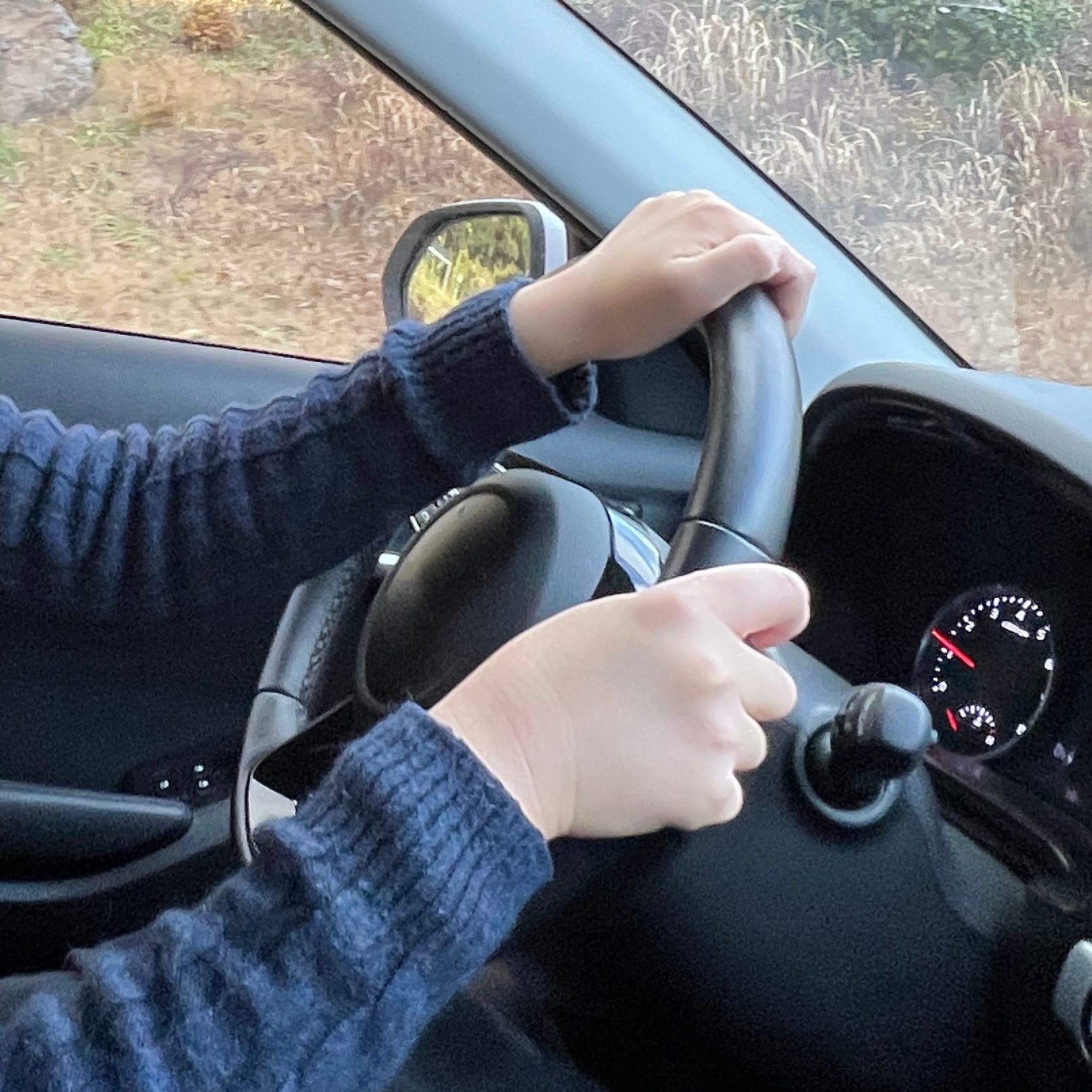 Steering part, Automotive design, Motor vehicle, Car, Black, Gesture, Plant