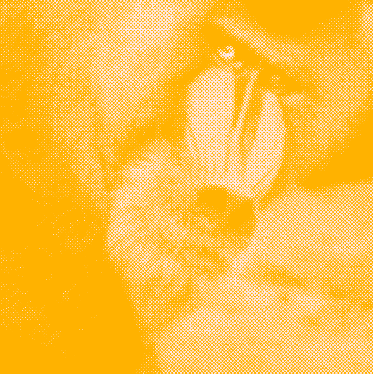 Brown, Amber, Orange, Gold, Font, Art