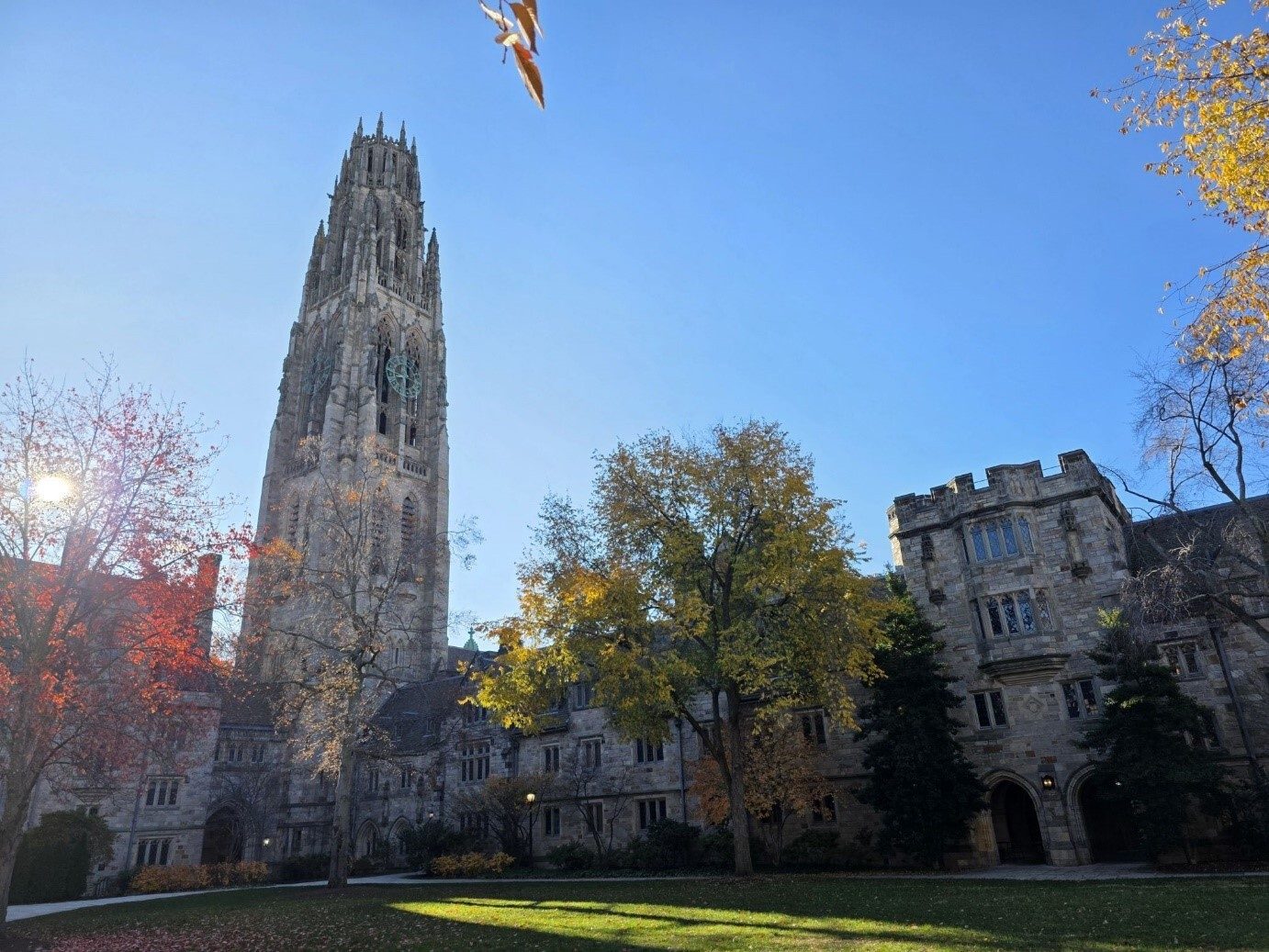 Gothic tower, stone university buildings, and autumn trees under a clear blue sky on a sunny day.