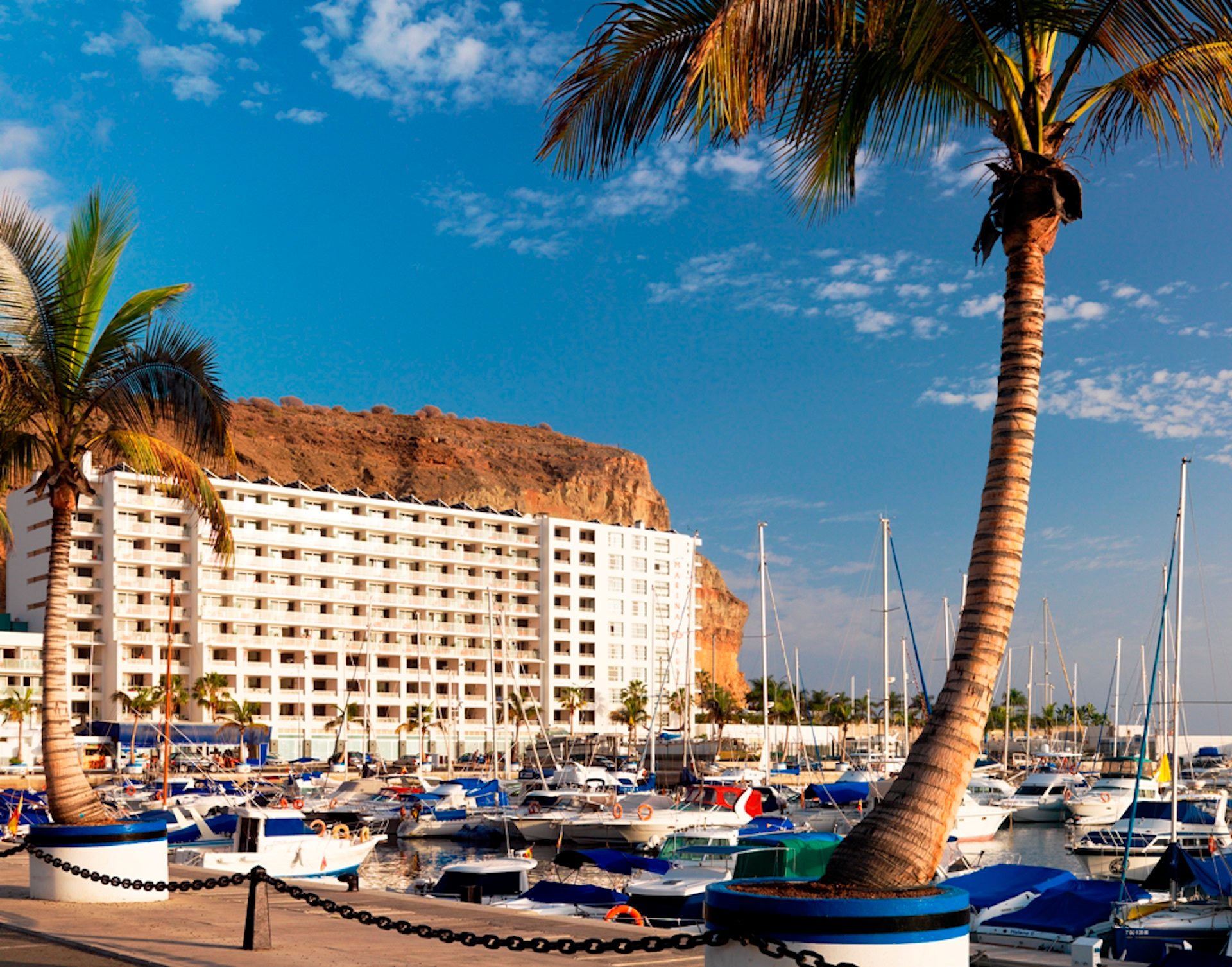 Sunny marina with boats, a large white building, rocky hill, and palm trees.