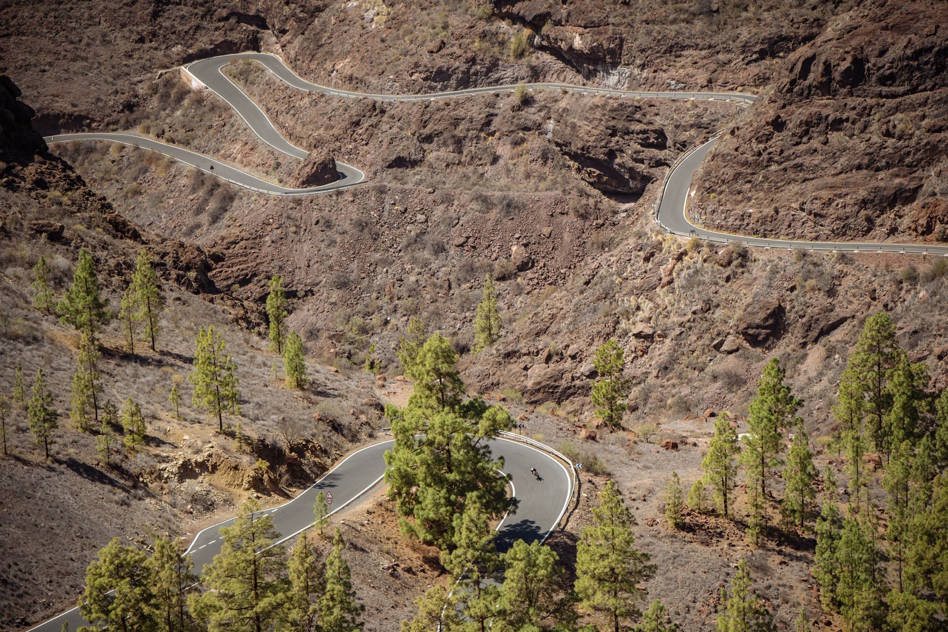 Serpentine mountain road through rocky terrain with pine trees and cyclists.