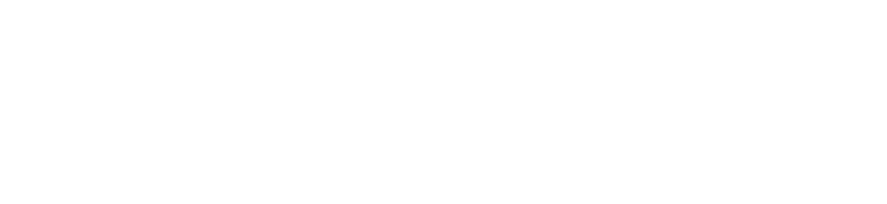 A logo composed of a white geometric star pattern and the text 'EVI SISTIT' in bold, sans-serif letters.
