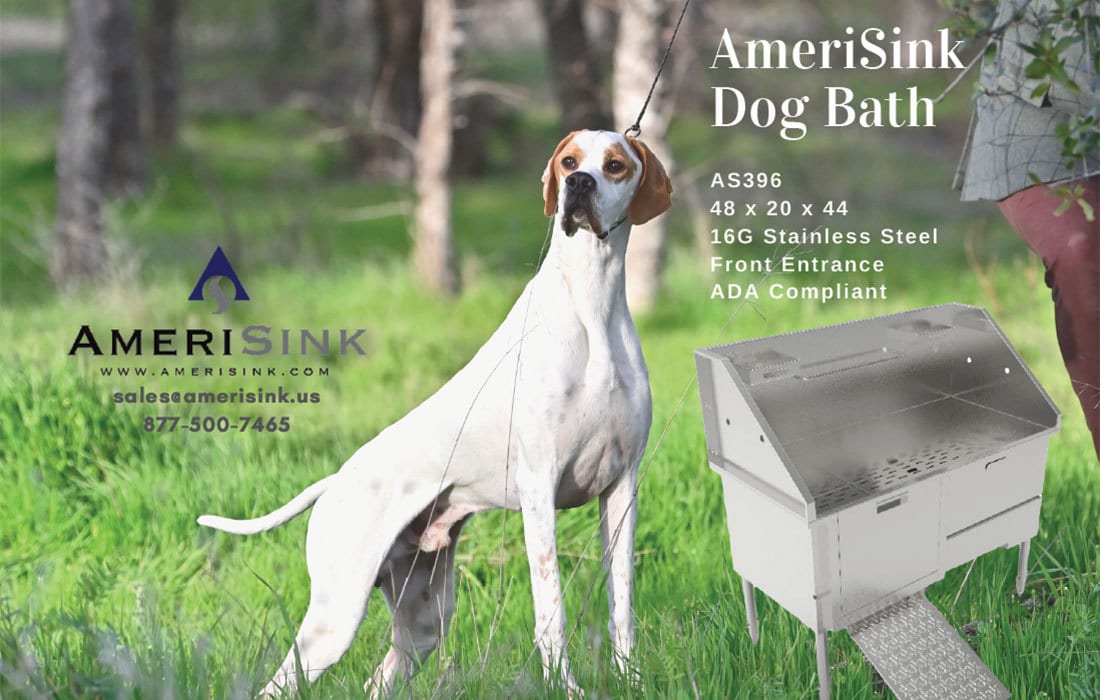 Amerisink