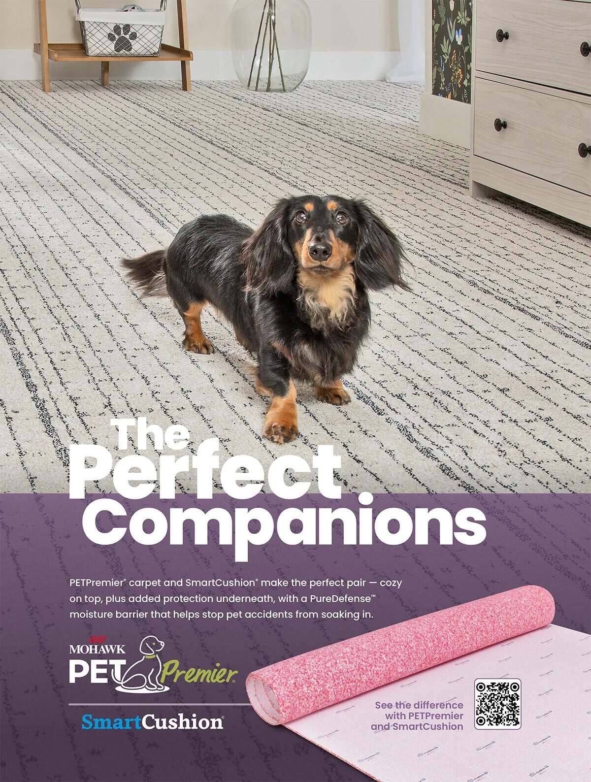 Ad for pet-friendly carpet & cushion featuring a long-haired Dachshund.