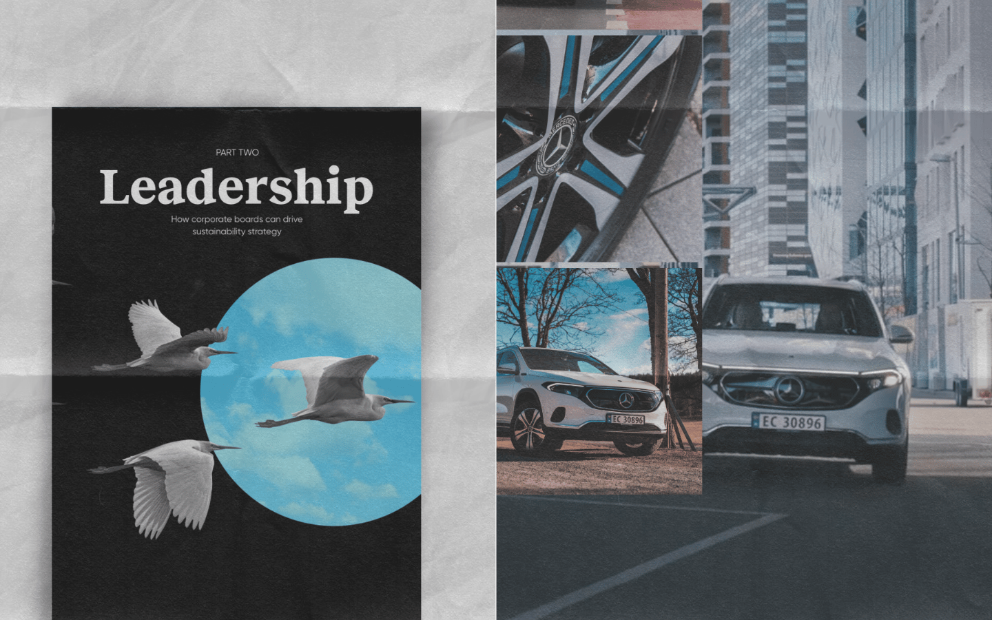 Advertising, Publication