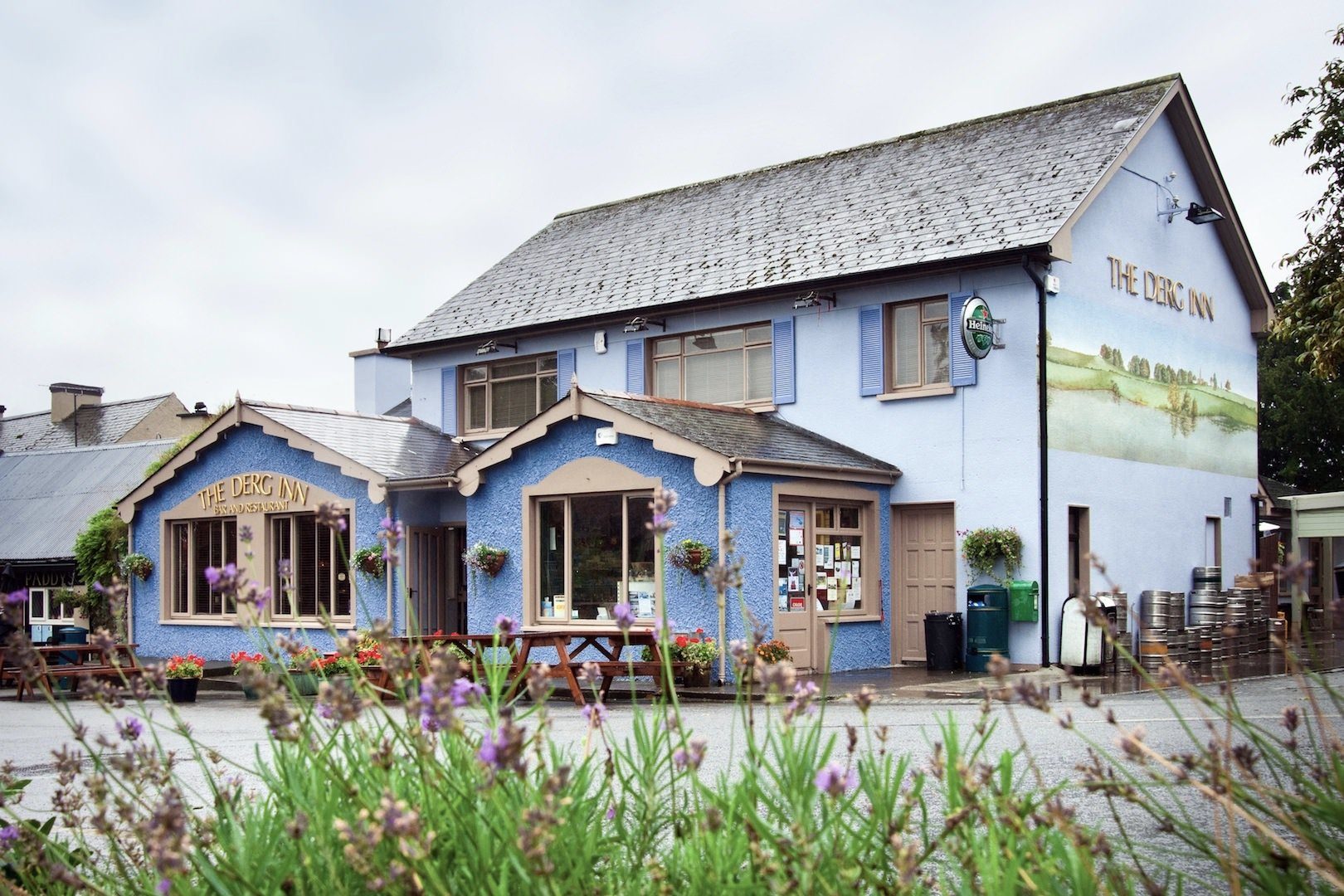 Plant, Sky, Flower, Property, Window, Building, Wood, Door, Cottage, Cloud