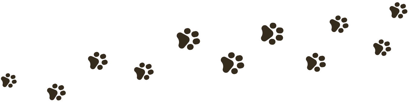 Material property, White, Black