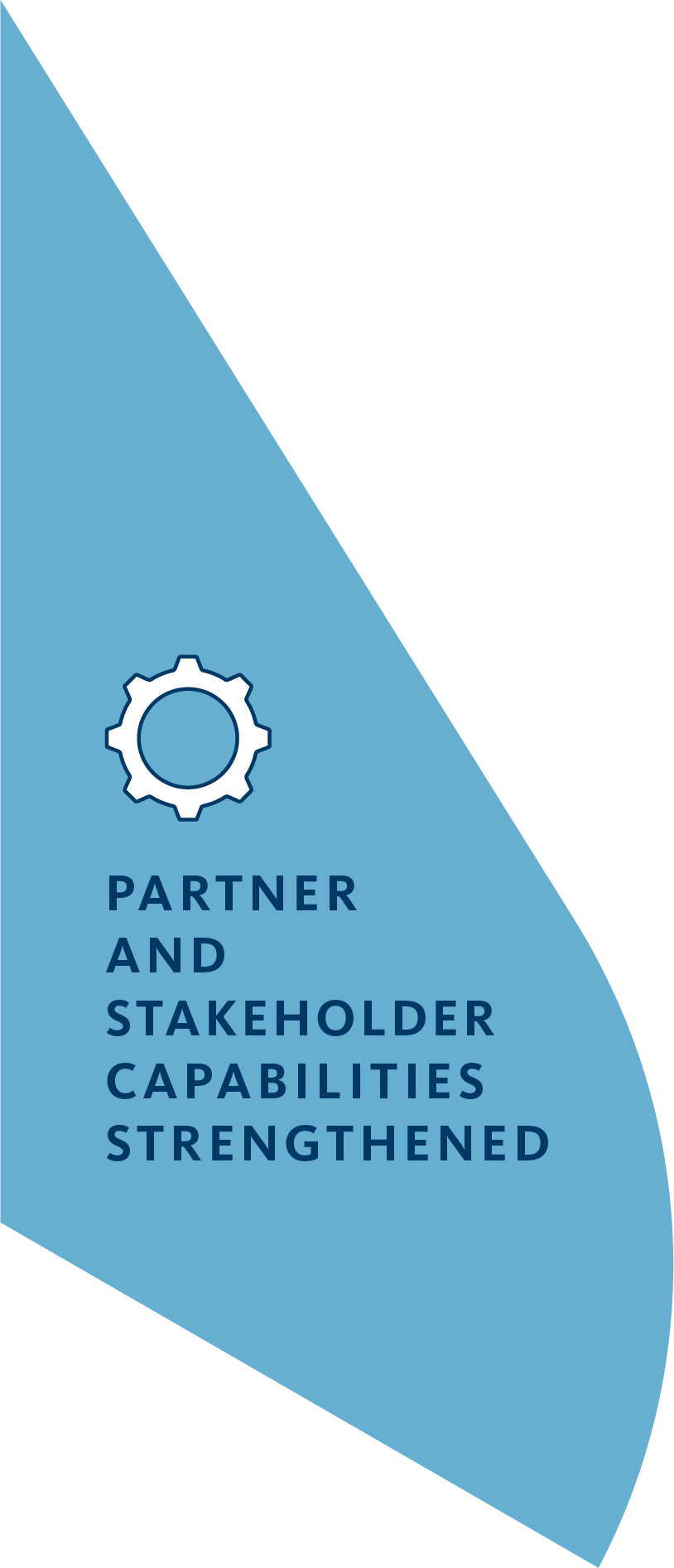 Gear icon above text: "PARTNER AND STAKEHOLDER CAPABILITIES STRENGTHENED" on a blue panel.