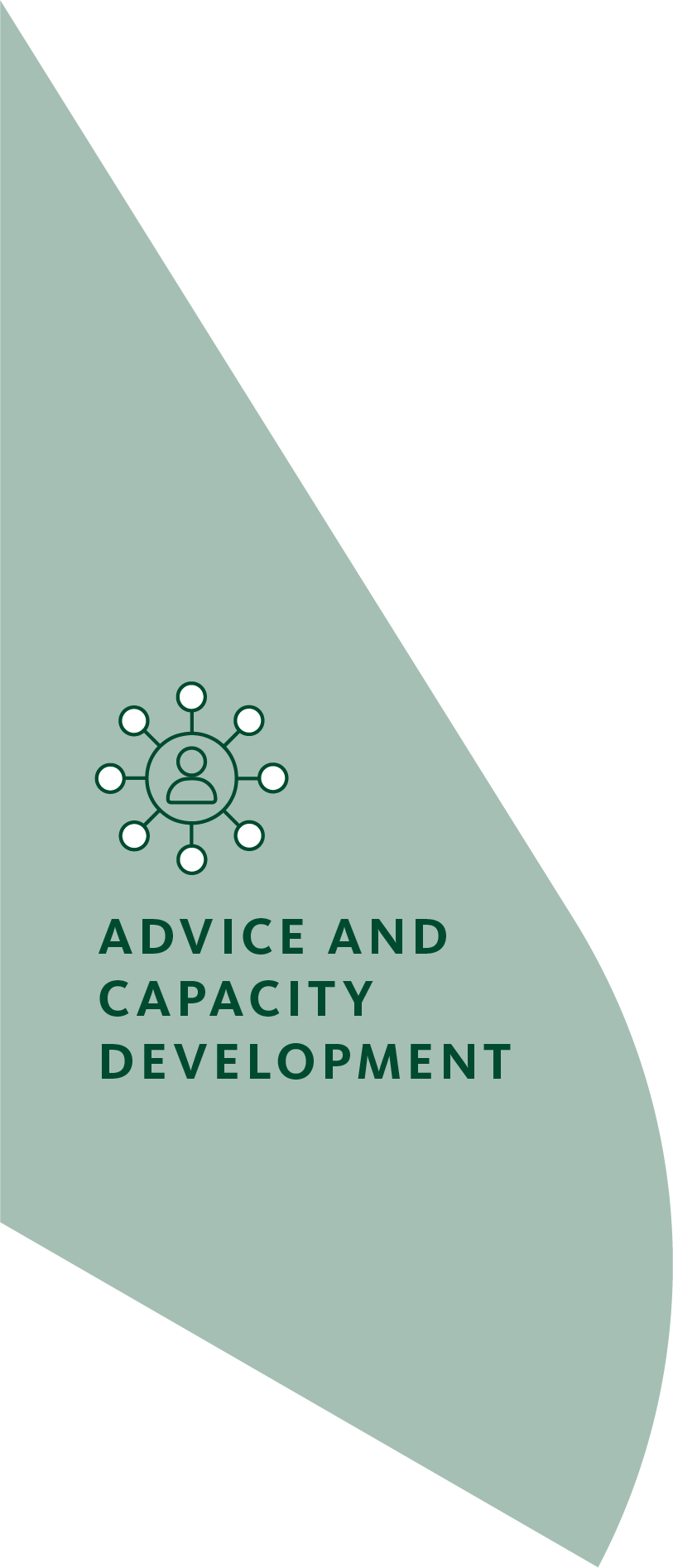 Networking icon and text: "ADVICE AND CAPACITY DEVELOPMENT" on a green background.