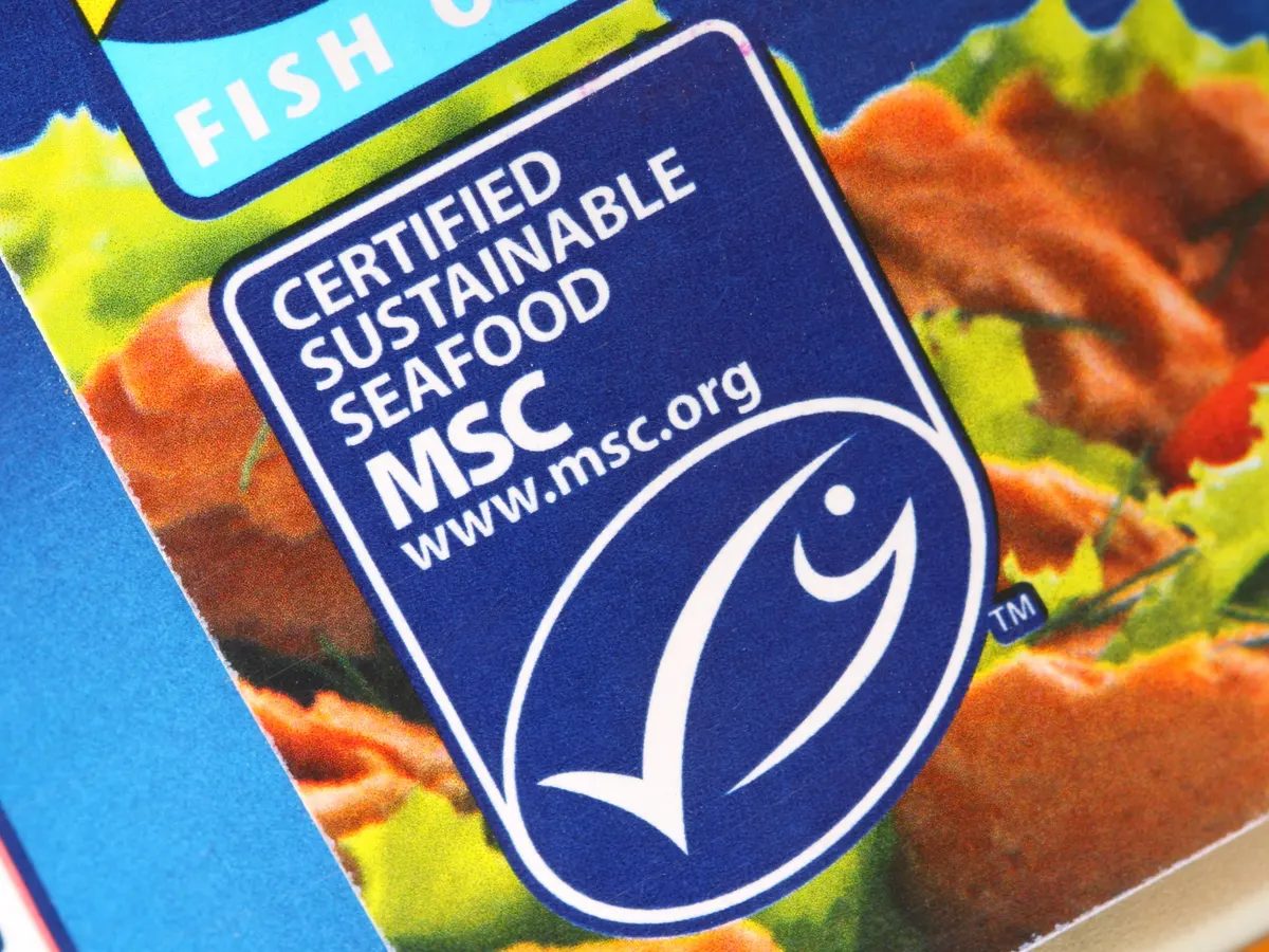 Natural foods, Food, Ingredient, Cuisine