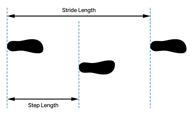 Diagram showing stride and step length measurements between three footprints.