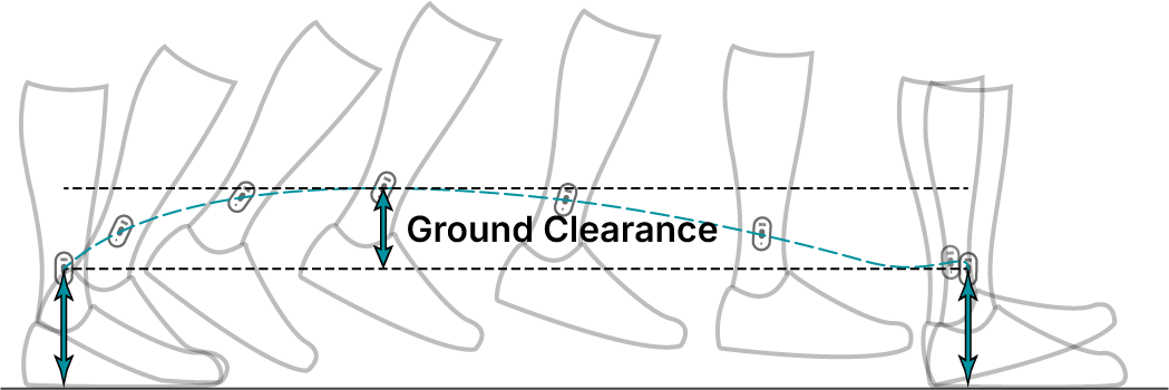 Illustration showing ground clearance and heel path during walking gait.