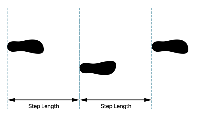 Diagram showing three footprints and vertical lines marking step length.