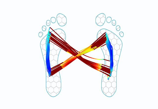 Diagram of two feet with crisscrossing heatmap colored lines.