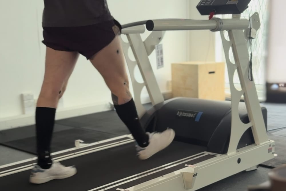 Exercise equipment, Physical fitness, Gym