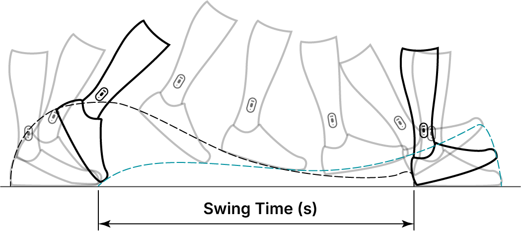 Diagram of swing phase in walking, showing leg/foot positions, trajectory, and time.