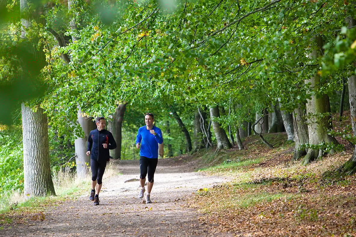 Natural environment, Outdoor recreation, Physical fitness, Leaf, Running, Exercise, Jogging, Leisure, Sports